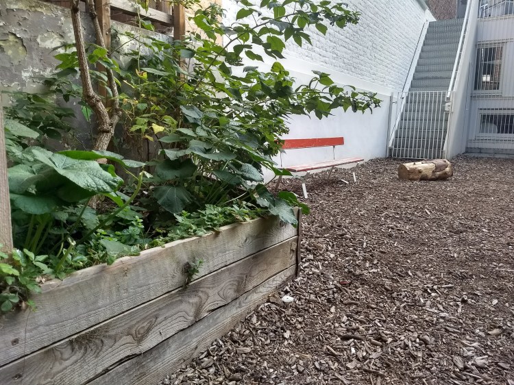 IMG_20181009_150306880_HDR